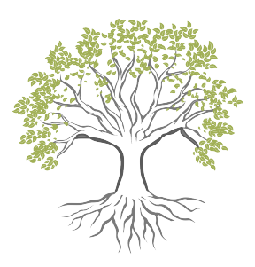Walnut Tree